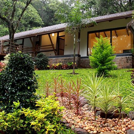 The Ibnii - Eco Luxury Resort Madikeri Kültér fotó