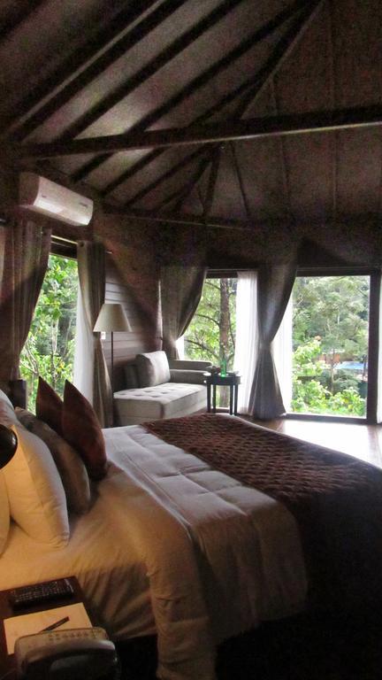 The Ibnii - Eco Luxury Resort Madikeri Kültér fotó